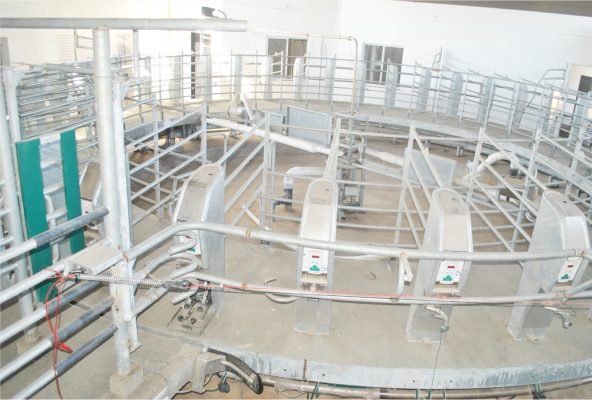 Abil Dairy
