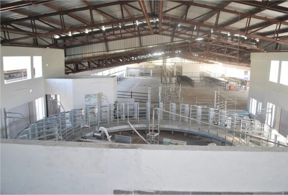 Abil Dairy1
